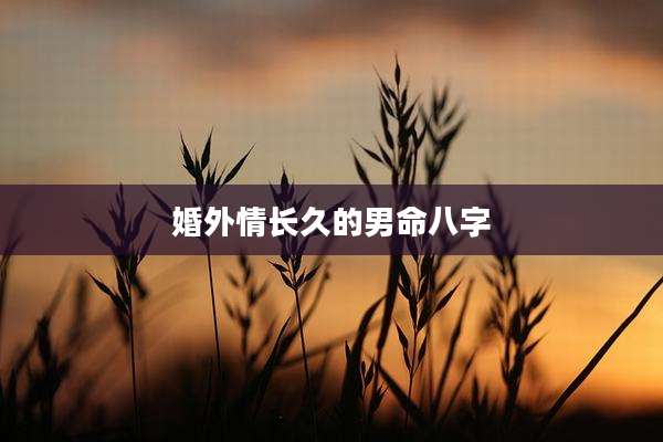 婚外情长久的男命八字