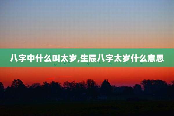 八字中什么叫太岁,生辰八字太岁什么意思