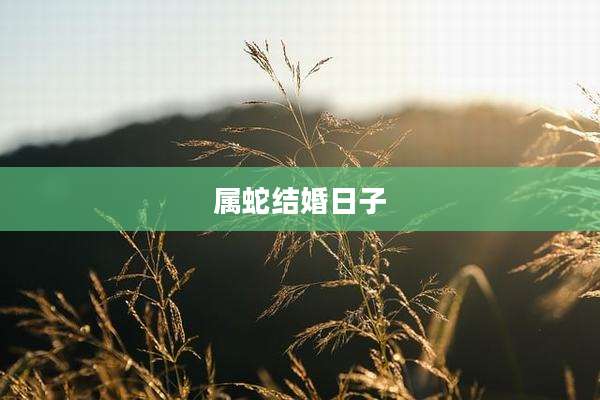 属蛇结婚日子