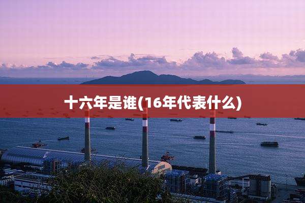 十六年是谁(16年代表什么)