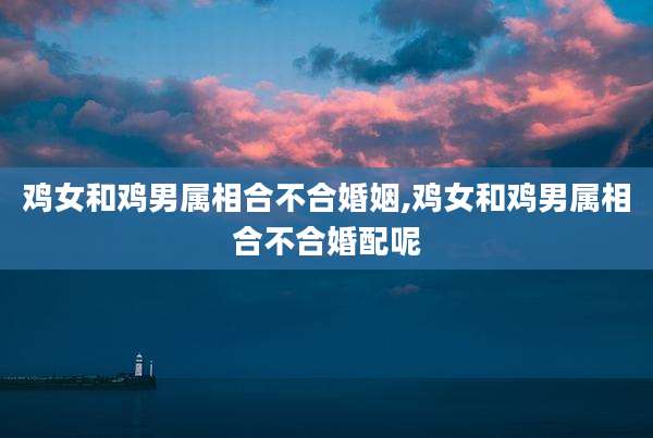 鸡女和鸡男属相合不合婚姻,鸡女和鸡男属相合不合婚配呢