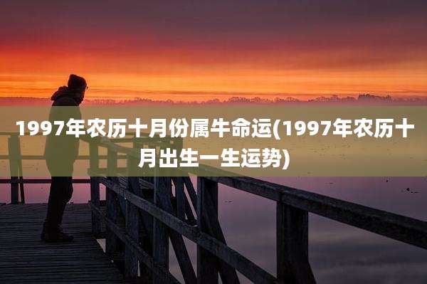 1997年农历十月份属牛命运(1997年农历十月出生一生运势)