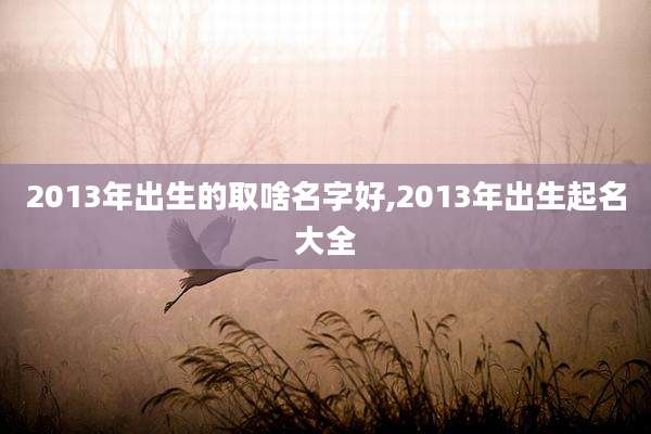2013年出生的取啥名字好,2013年出生起名大全