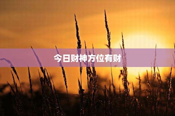 今日财神方位有财