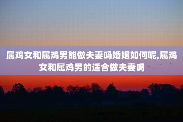 属鸡女和属鸡男能做夫妻吗婚姻如何呢,属鸡女和属鸡男的适合做夫妻吗