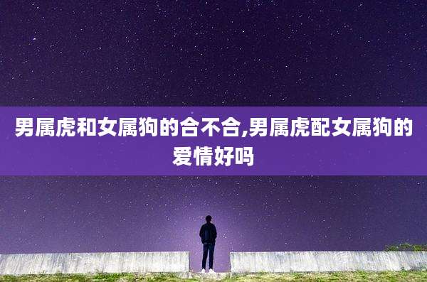 男属虎和女属狗的合不合,男属虎配女属狗的爱情好吗