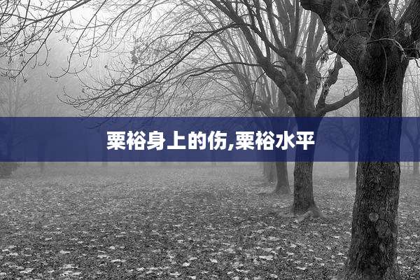 粟裕身上的伤,粟裕水平