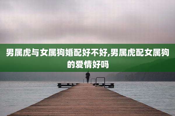 男属虎与女属狗婚配好不好,男属虎配女属狗的爱情好吗