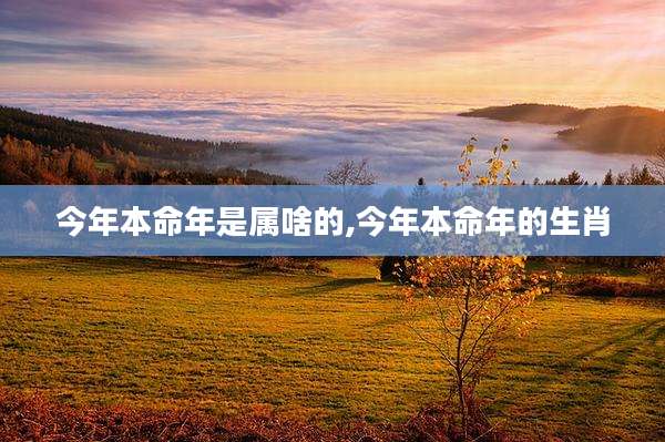 今年本命年是属啥的,今年本命年的生肖