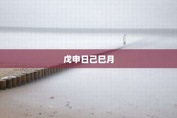 戊申日己巳月