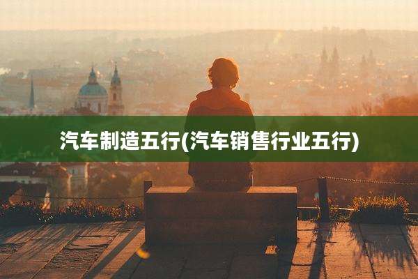 汽车制造五行(汽车销售行业五行)