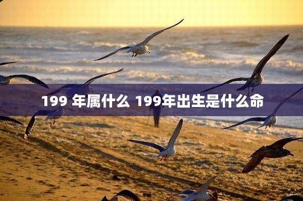 199 年属什么 199年出生是什么命