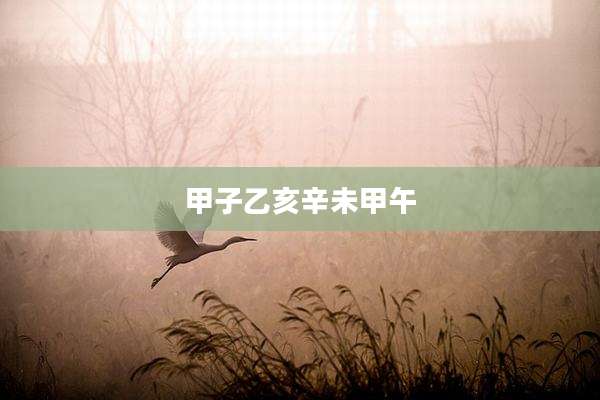 甲子乙亥辛未甲午