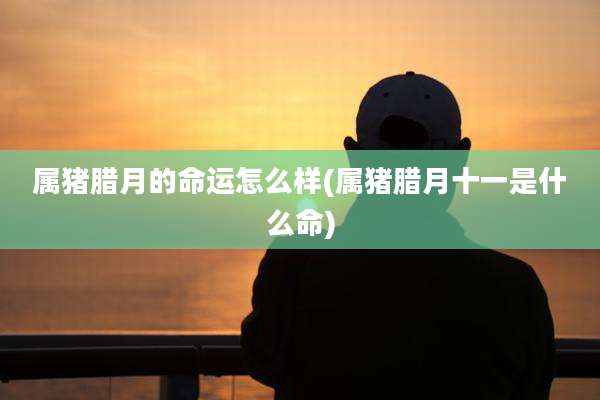 属猪腊月的命运怎么样(属猪腊月十一是什么命)