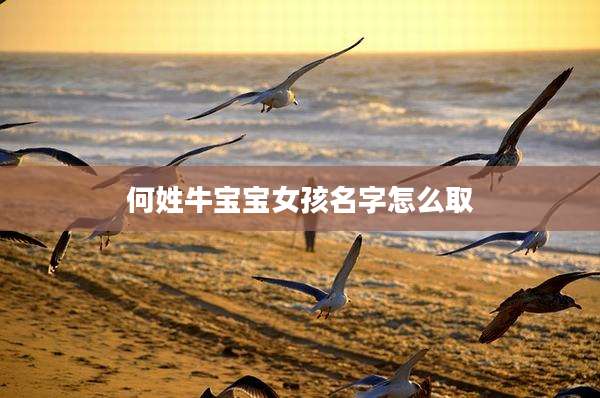 何姓牛宝宝女孩名字怎么取