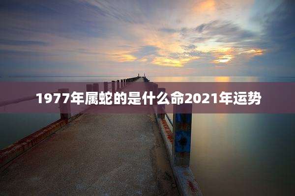 1977年属蛇的是什么命2021年运势