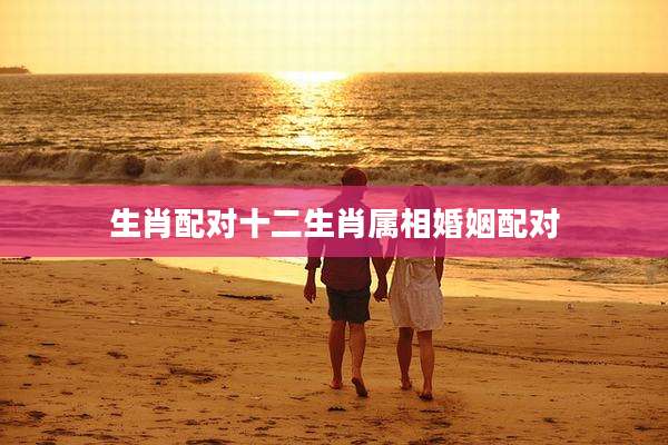 生肖配对十二生肖属相婚姻配对