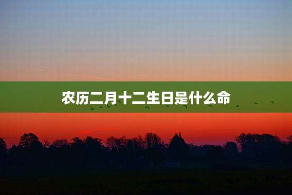农历二月十二生日是什么命