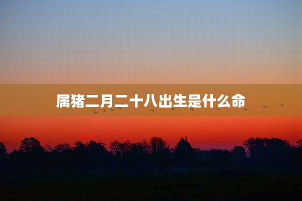 属猪二月二十八出生是什么命
