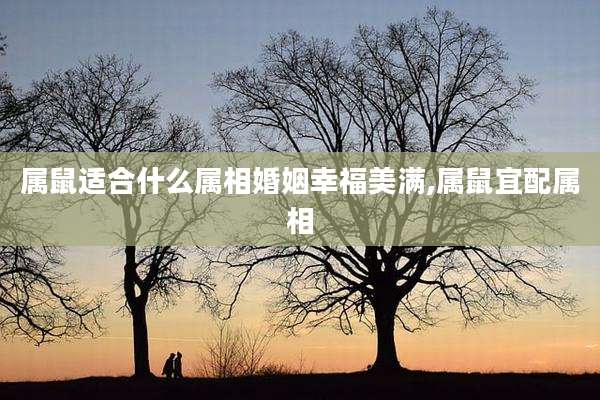 属鼠适合什么属相婚姻幸福美满,属鼠宜配属相