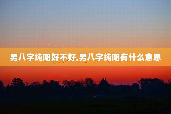 男八字纯阳好不好,男八字纯阳有什么意思