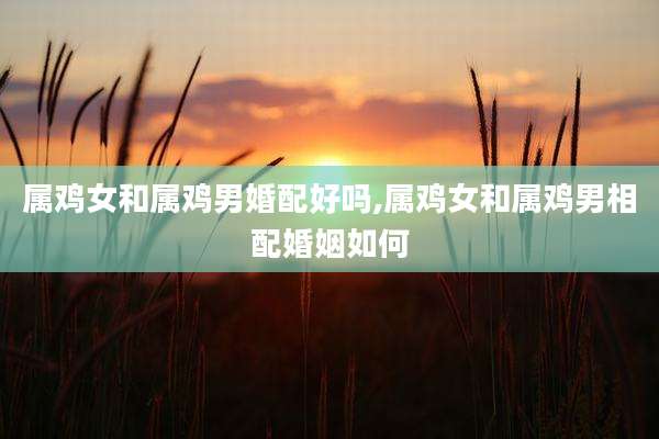 属鸡女和属鸡男婚配好吗,属鸡女和属鸡男相配婚姻如何