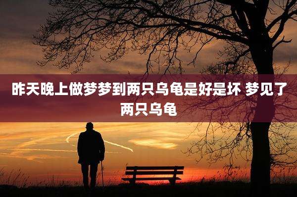 昨天晚上做梦梦到两只乌龟是好是坏 梦见了两只乌龟