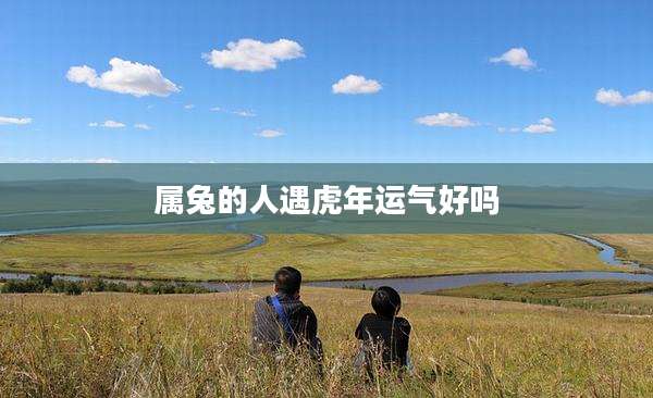 属兔的人遇虎年运气好吗