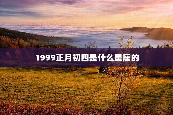 1999正月初四是什么星座的