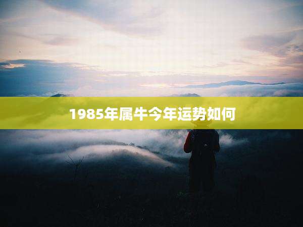1985年属牛今年运势如何
