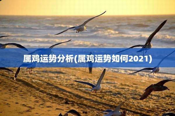 属鸡运势分析(属鸡运势如何2021)