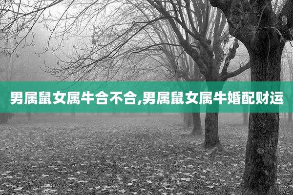 男属鼠女属牛合不合,男属鼠女属牛婚配财运