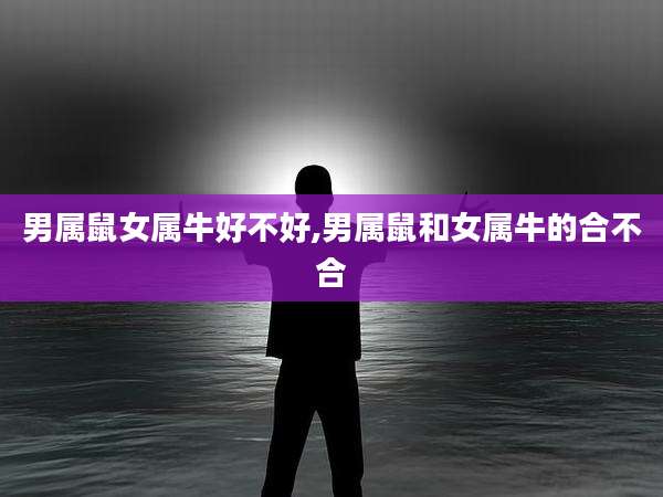 男属鼠女属牛好不好,男属鼠和女属牛的合不合