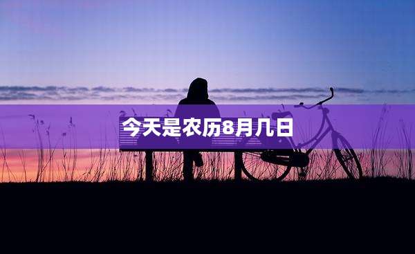 今天是农历8月几日