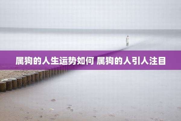 属狗的人生运势如何 属狗的人引人注目