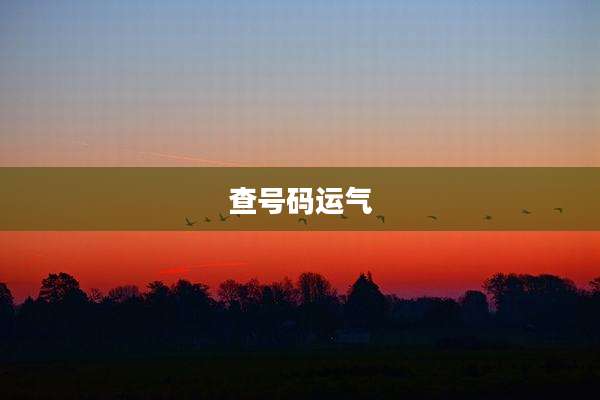 查号码运气