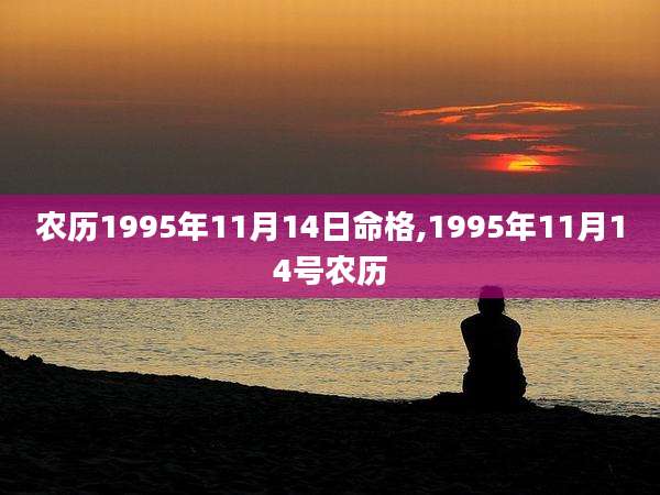 农历1995年11月14日命格,1995年11月14号农历