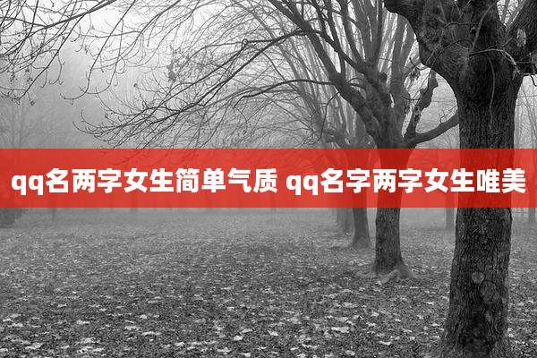 qq名两字女生简单气质 qq名字两字女生唯美