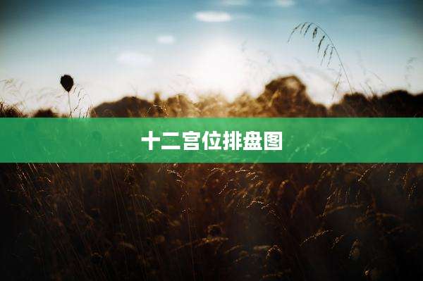 十二宫位排盘图