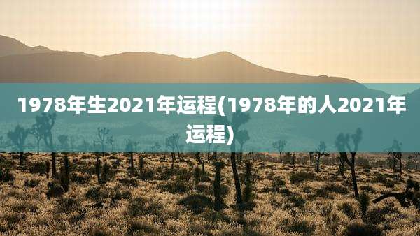 1978年生2021年运程(1978年的人2021年运程)