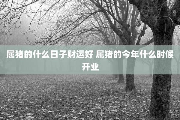 属猪的什么日子财运好 属猪的今年什么时候开业