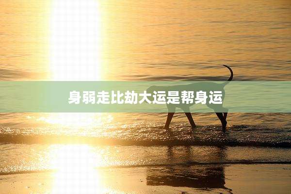 身弱走比劫大运是帮身运