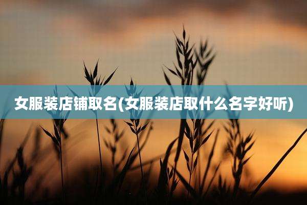 女服装店铺取名(女服装店取什么名字好听)