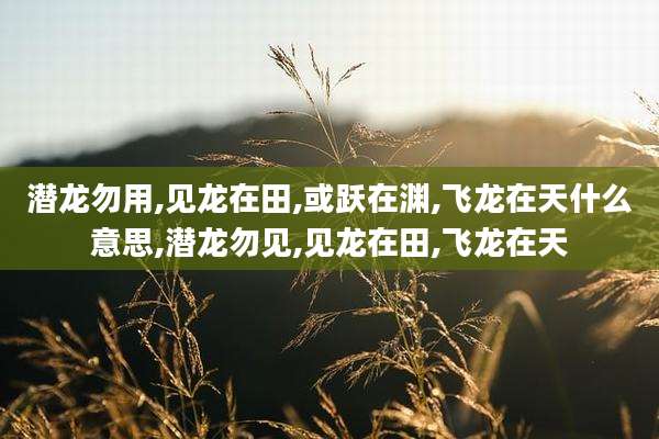 潜龙勿用,见龙在田,或跃在渊,飞龙在天什么意思,潜龙勿见,见龙在田,飞龙在天