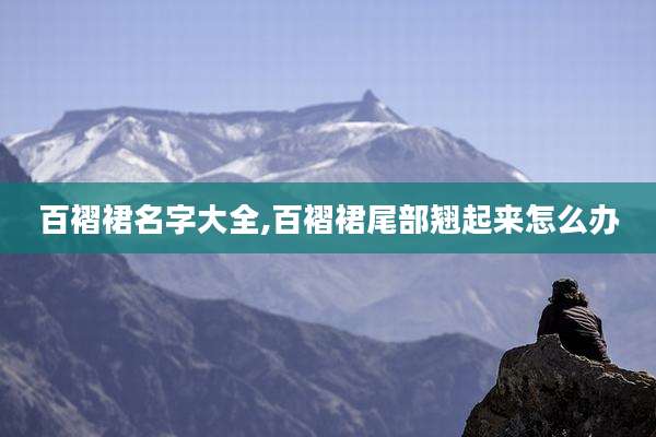 百褶裙名字大全,百褶裙尾部翘起来怎么办