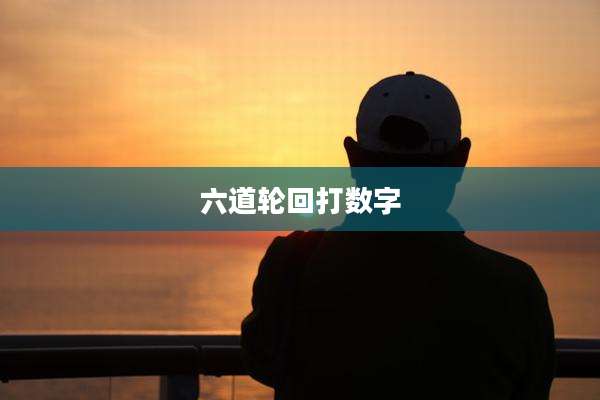 六道轮回打数字