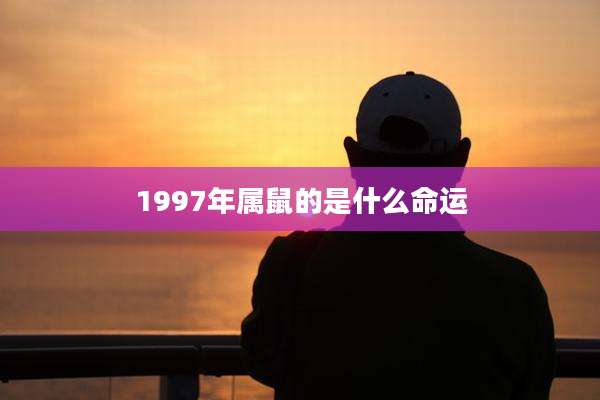 1997年属鼠的是什么命运