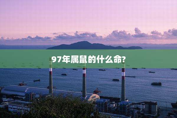 97年属鼠的什么命?