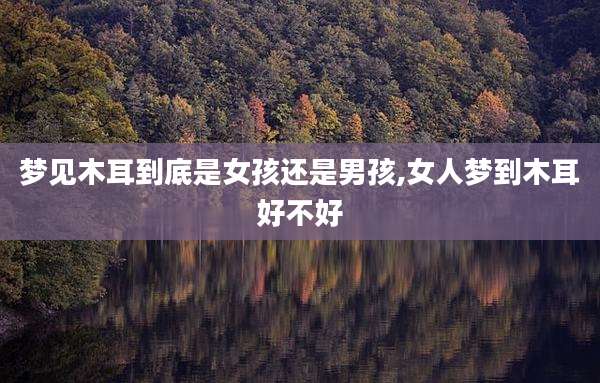 梦见木耳到底是女孩还是男孩,女人梦到木耳好不好