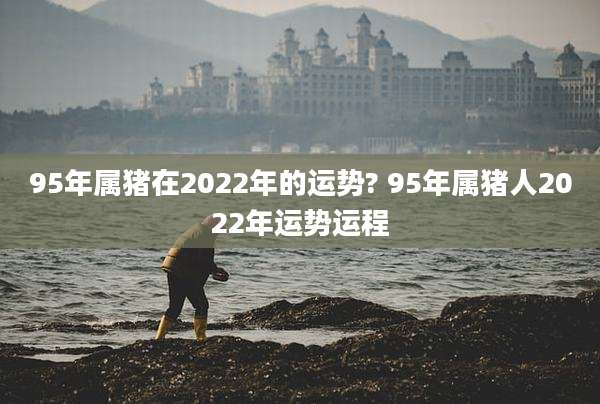 95年属猪在2022年的运势? 95年属猪人2022年运势运程